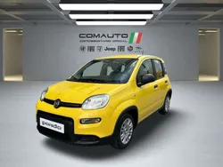 Amarillo Nuevo 2025 Fiat Panda Utilitario | 15.000 € (Precio justo)
