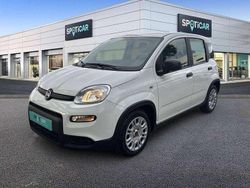 Blanco Usado 2023 Fiat Panda Comfort Utilitario | 12.600 € (Precio justo)