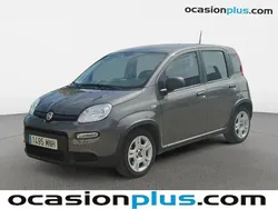 Gris Usado 2024 Fiat Panda Utilitario | 11.810 € (Precio justo)