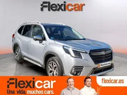 Gris Usado 2023 Subaru Forester SUV | 27.290 € (Buen precio)