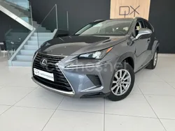 Beige Usado 2018 Lexus NX300h Business Edition SUV | 26.500 € (Caro)