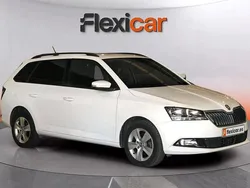 Blanco Usado 2019 Skoda Fabia Active Utilitario | 11.690 € (Un poco caro)