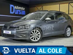 Gris Usado 2019 VW Golf VII Advance Familiar | 17.990 € (Un poco caro)