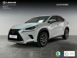 Blanco Usado 2020 Lexus NX300h Executive Line SUV | 26.990 € (Buen precio)