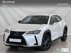 Blanco Usado 2023 Lexus UX 250h SUV | 31.970 € (Precio justo)