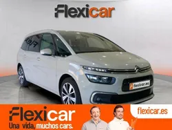 Gris Usado 2019 Citroën C4 Feel | 14.490 € (Precio justo)