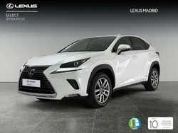 Blanco Usado 2020 Lexus NX300h Executive Line SUV | 31.990 € (Caro)