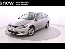 Gris Usado 2019 VW Golf VII Advance Familiar | 14.790 € (Buen precio)