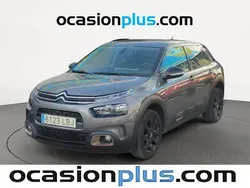 Gris Usado 2019 Citroën C4 Cactus Origins Utilitario | 11.810 € (Precio justo)