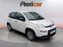 Blanco Usado 2023 Fiat Panda Utilitario | 9990 € (Buen precio)