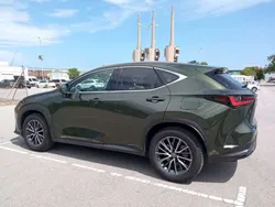 Verde Usado 2023 Lexus NX450h+ Executive Line SUV | 50.900 € (Buen precio)