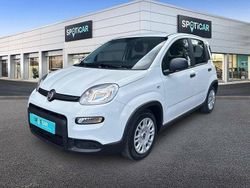 Blanco Usado 2023 Fiat Panda Comfort Utilitario | 12.990 € (Un poco caro)