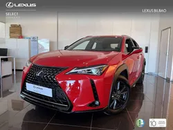 Rojo Usado 2021 Lexus UX 250h Business Edition SUV | 25.900 € (Un poco caro)