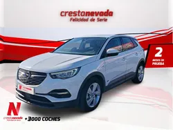 Usado 2021 Opel Grandland X Edition SUV | 18.214 € (Super precio)
