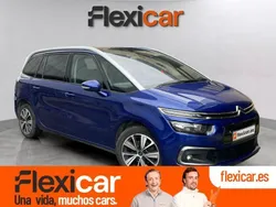 Azul Usado 2018 Citroën C4 Feel | 11.790 € (Precio justo)