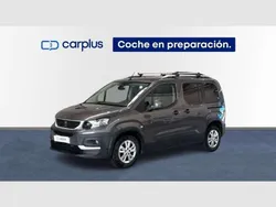 Gris Usado 2019 Peugeot Rifter Active Monovolumen | 17.490 € (Buen precio)