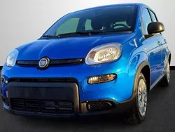 Azul Nuevo 2025 Fiat Panda Utilitario | 12.699 € (Buen precio)