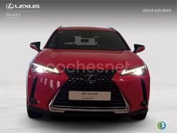 Rojo Usado 2021 Lexus UX Business Edition SUV | 27.900 € (Precio justo)