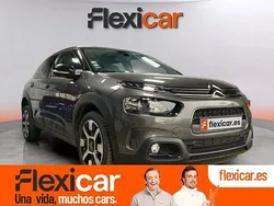 Gris Usado 2018 Citroën C4 Cactus Shine Utilitario | 11.990 € (Precio justo)