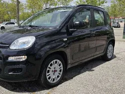 Negro Usado 2013 Fiat Panda Pop Utilitario | 6400 € (Precio justo)