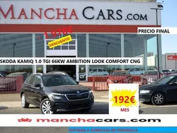 Negro Usado 2020 Skoda Kamiq Ambition SUV | 13.990 € (Un poco caro)