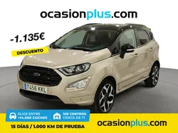Marrón Usado 2018 Ford Ecosport Titanium SUV | 12.490 € (Buen precio)