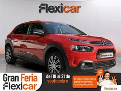 Rojo Usado 2018 Citroën C4 Cactus Feel Utilitario | 10.990 € (Un poco caro)