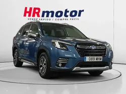 Usado 2023 Subaru Forester SUV | 24.290 € (Super precio)
