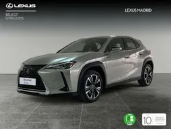 Gris Usado 2020 Lexus UX 250h SUV | 25.990 € (Un poco caro)