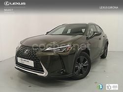Verde Usado 2024 Lexus UX SUV | 35.850 € (Caro)