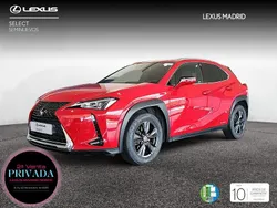 Rojo Usado 2020 Lexus UX Business Edition SUV | 24.990 € (Precio justo)