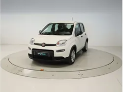 Blanco Usado 2024 Fiat Panda Utilitario | 13.500 € (Precio justo)