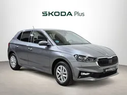 Gris Usado 2024 Skoda Fabia Selection Berlina | 16.490 € (Buen precio)