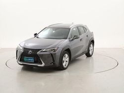 Usado 2021 Lexus UX 250h Business Edition SUV | 21.290 € (Buen precio)