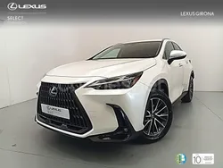Blanco Nuevo 2024 Lexus NX350h SUV | 54.500 € (Caro)