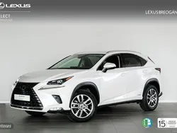 Blanco Usado 2020 Lexus NX300h Executive Line SUV | 36.900 € (Caro)