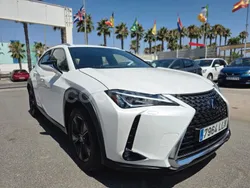 Blanco Usado 2020 Lexus UX Business Edition SUV | 26.900 € (Precio justo)