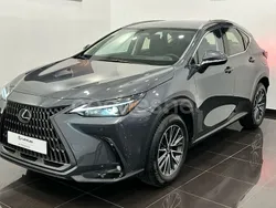 Gris / plata Usado 2024 Lexus NX350h SUV | 49.900 € (Buen precio)