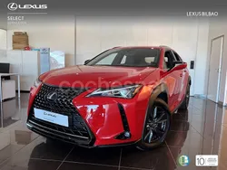 Rojo Usado 2021 Lexus UX Business Edition SUV | 26.900 € (Precio justo)