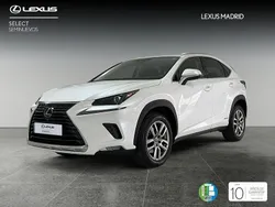 Blanco Usado 2020 Lexus NX300h Executive Line SUV | 33.990 € (Caro)