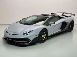 Gris Usado 2020 Lamborghini Aventador Descapotable | 724.900 €