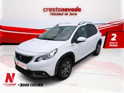 Usado 2019 Peugeot 2008 Signature Sky SUV | 14.009 € (Buen precio)