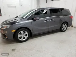 Gris Usado 2018 Honda Odyssey EX Monovolumen | 58.600 €