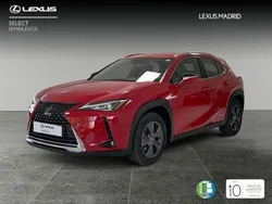 Rojo Usado 2020 Lexus UX Business Edition SUV | 26.990 € (Un poco caro)