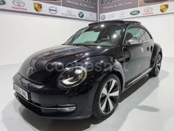 VW Beetle