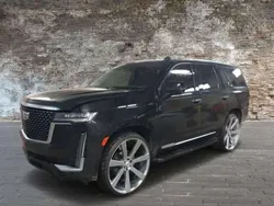 Negro Usado 2019 Cadillac Escalade SUV | 80.500 €