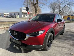 Rojo Usado 2023 Mazda CX-30 Homura-Line SUV | 23.900 € (Buen precio)