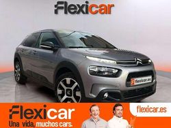 Gris Usado 2019 Citroën C4 Cactus Feel Utilitario | 11.690 € (Precio justo)