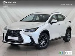 Lexus NX350h