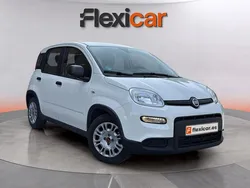 Blanco Usado 2023 Fiat Panda Utilitario | 10.990 € (Precio justo)